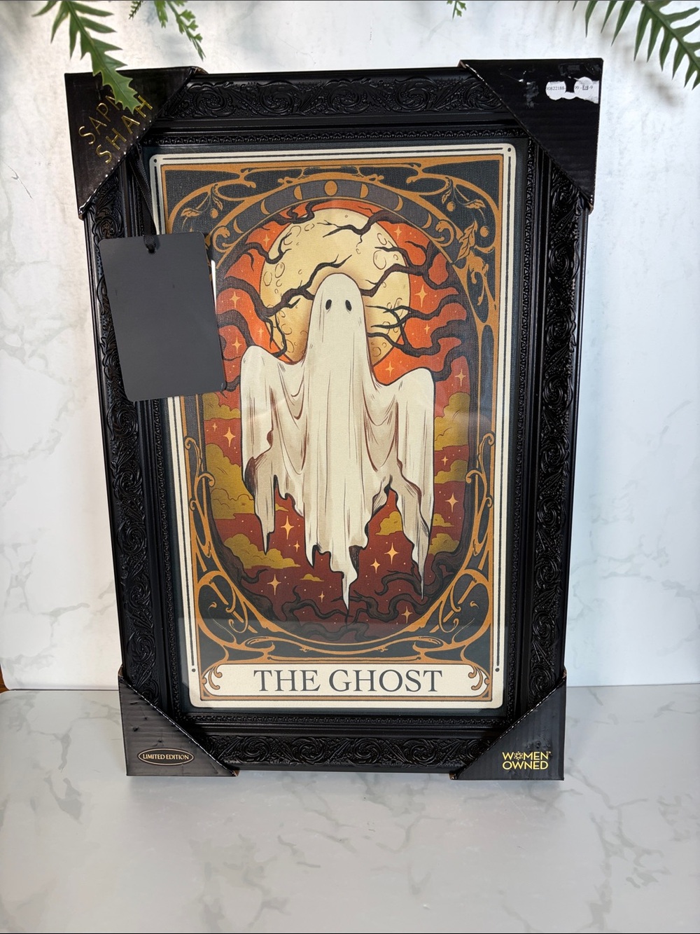 Sapna Shah The Ghost Framed Wall Art Sheet Ghost Moon Gothic Halloween 12x18 New